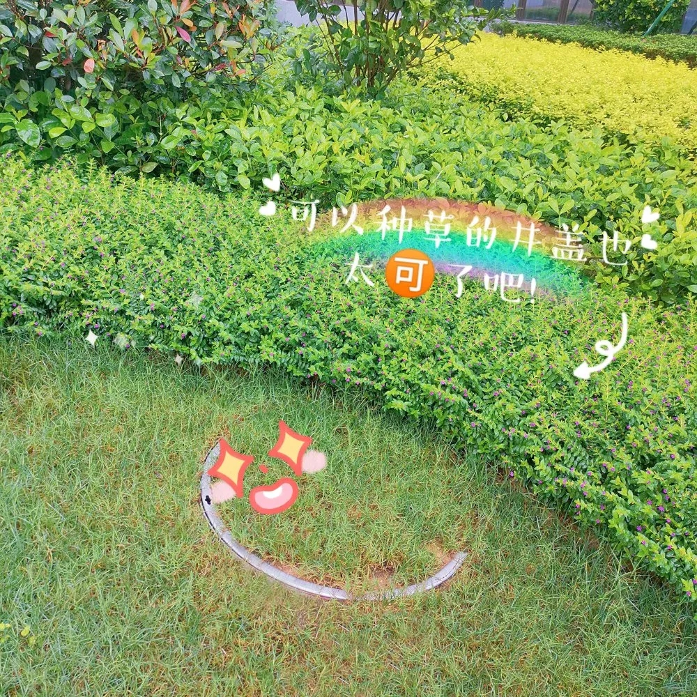 不锈钢草盆井盖